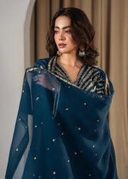Peacock Z embroidered 3-piece festive suit by Tehzeeb Libas (view 6)